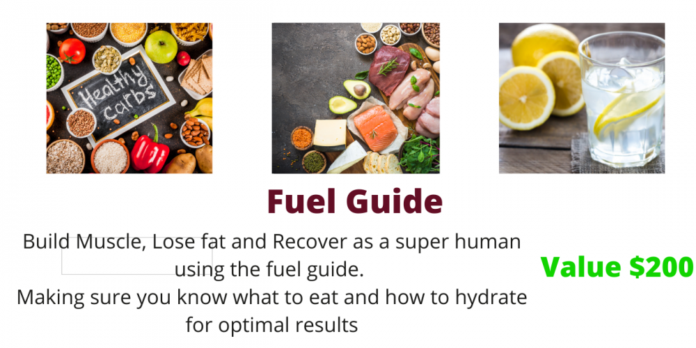 Fuel Guide